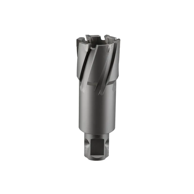 Сверло корончатое твердосплавное ALTECO TCT 18х50 