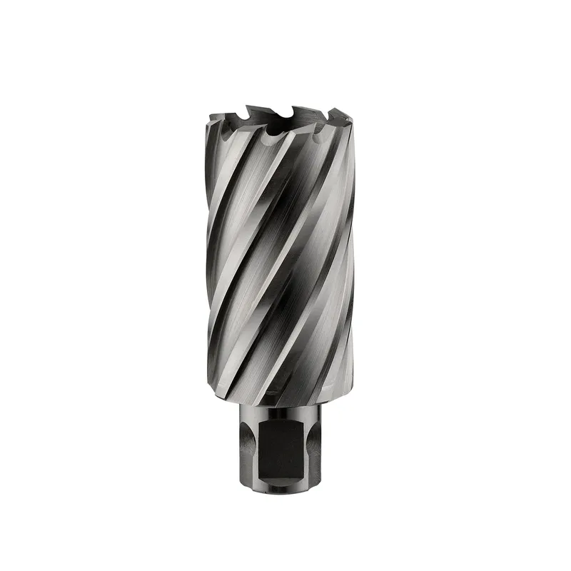 Сверло корончатое ALTECO HSS 20x30